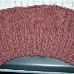 Pulli aus Leona