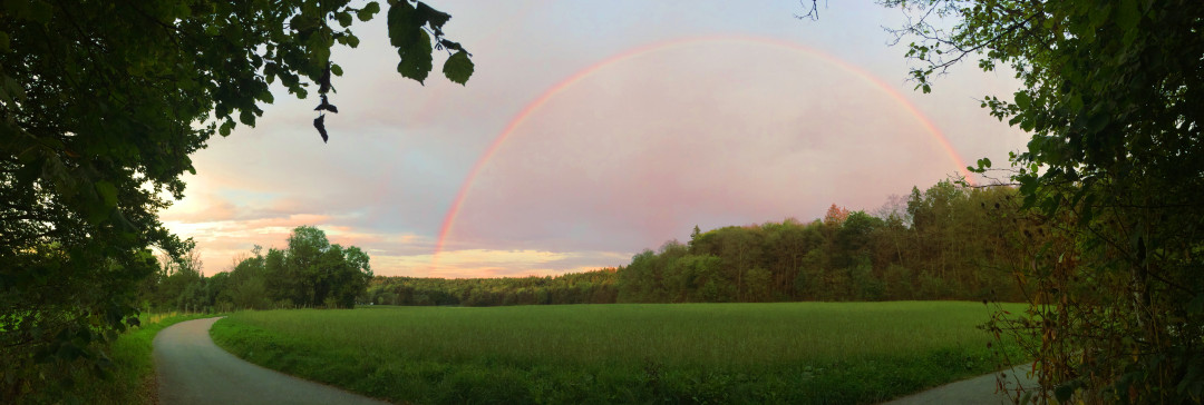 Regenbogen